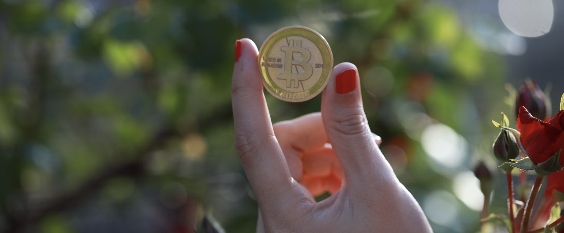 yield farming crypto